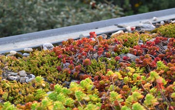 the cost of Moatmill green roof installation