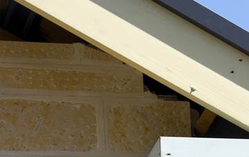 soffit repair Moatmill